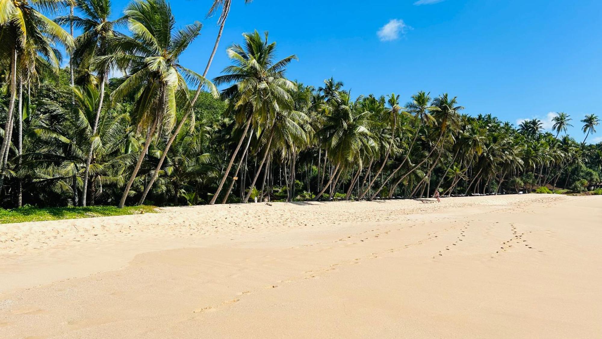 Hotel Shadow Surf Bay Tangalle Exterior foto