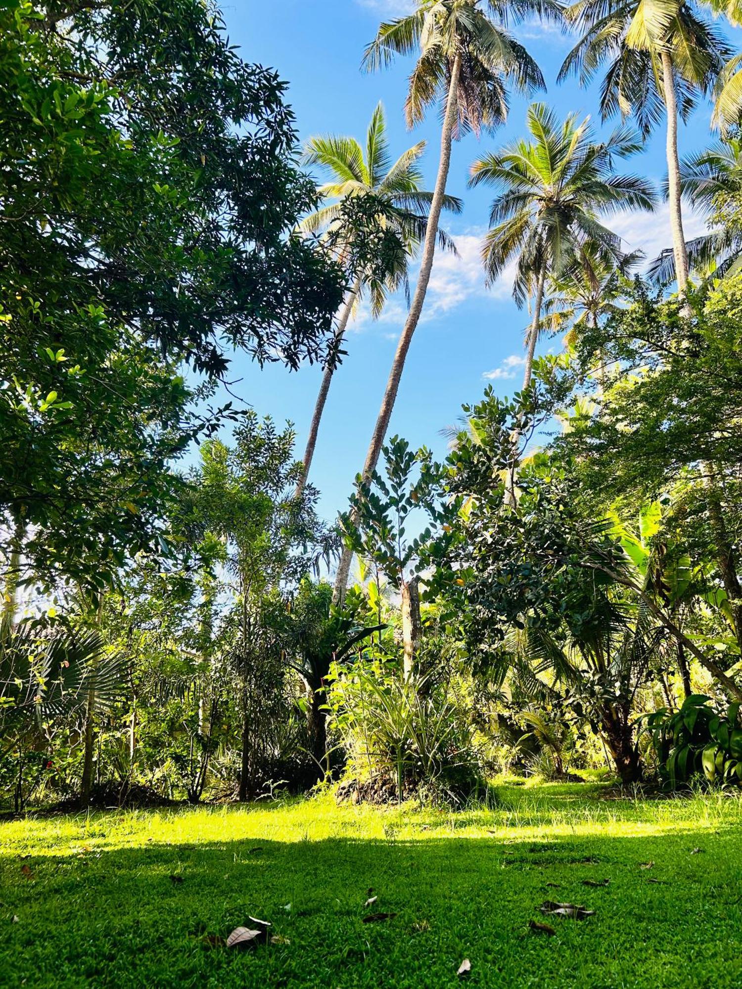 Hotel Shadow Surf Bay Tangalle Exterior foto